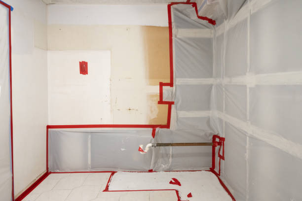 Best HVAC Mold Inspection and Cleaning  in Chanhassen, MN
