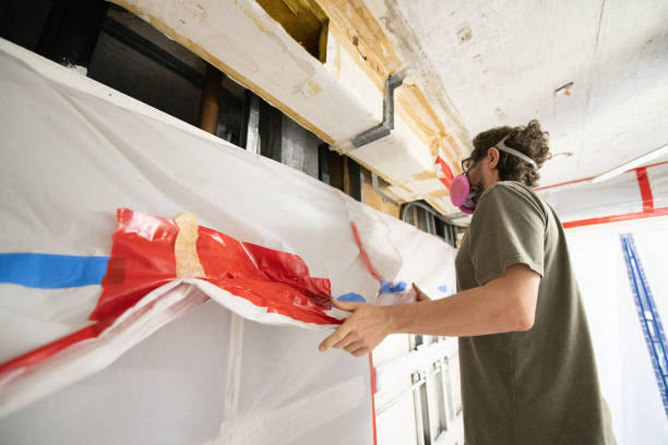 Best Mold Odor Removal Services  in Chanhassen, MN