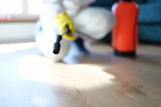 Best Mold Odor Removal Services  in Chanhassen, MN