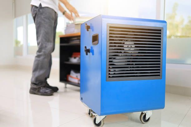Mold Odor Removal Services in Chanhassen, MN